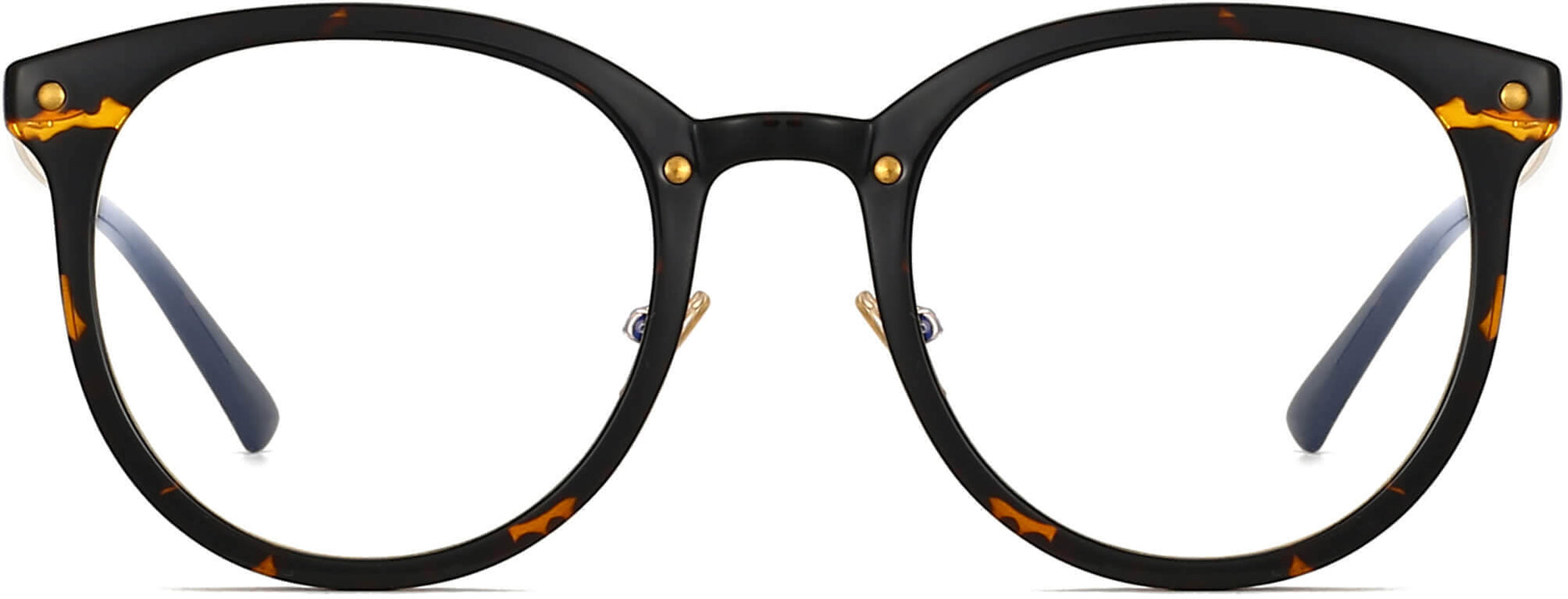 Miller Round Tortoise Eyeglasses from ANRRI, front view
