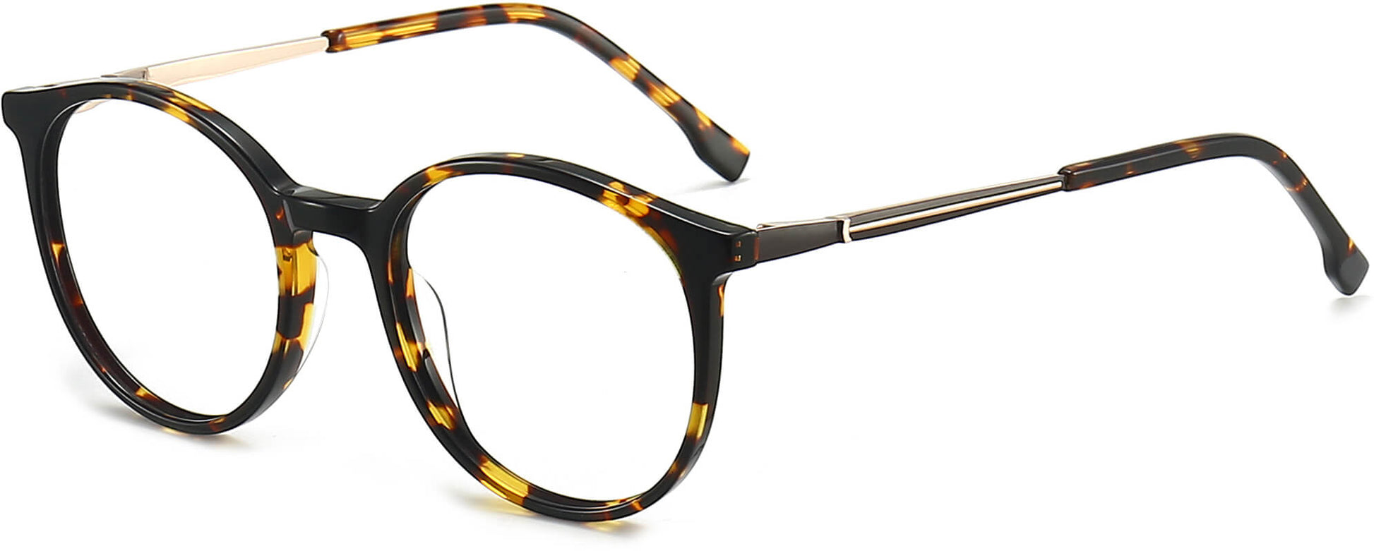 Oaklee Round Tortoise Eyeglasses from ANRRI, angle view
