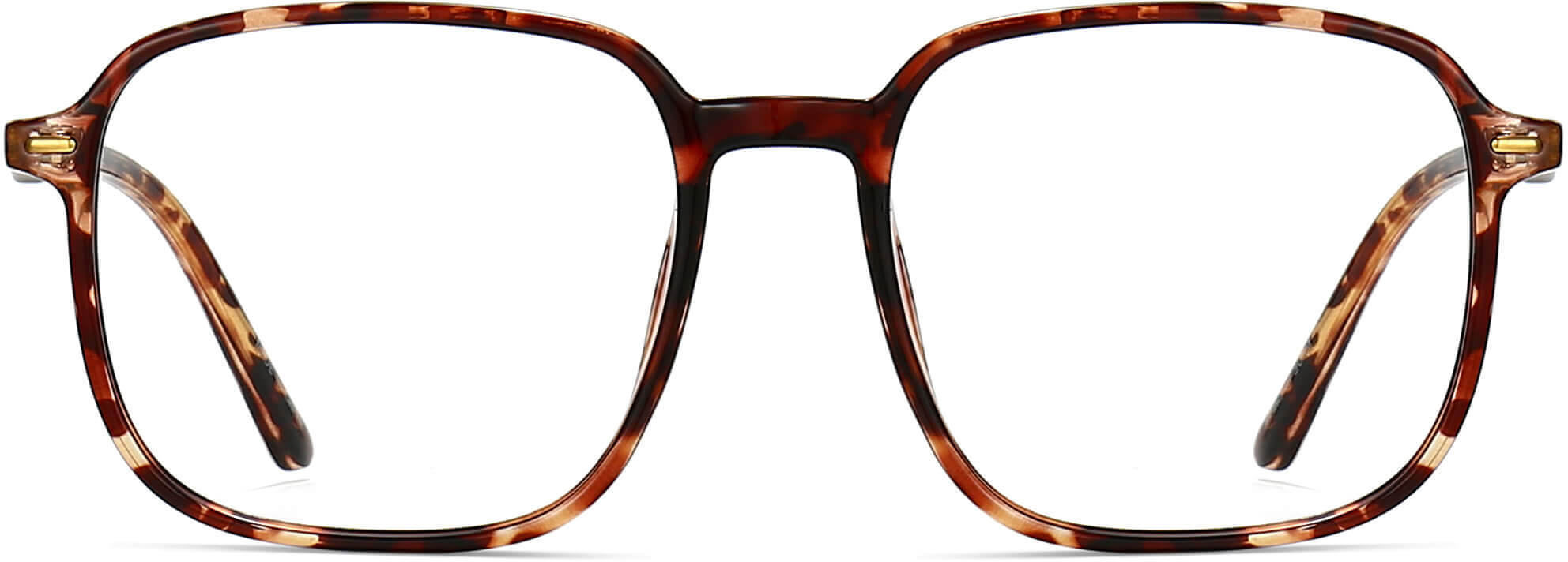Peyton Square Tortoise Eyeglasses from ANRRI, front view