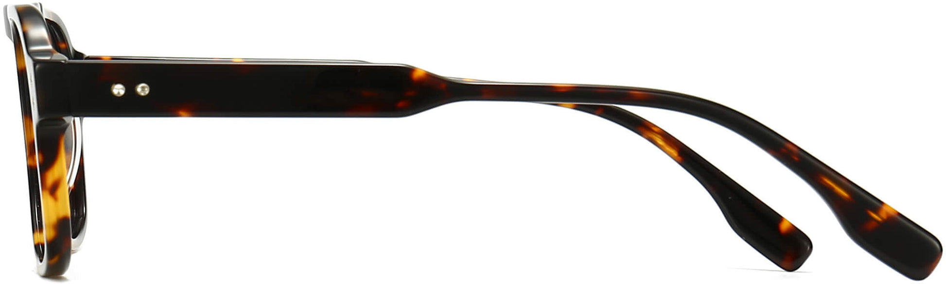 Rayan Round Tortoise Eyeglasses from ANRRI, side view