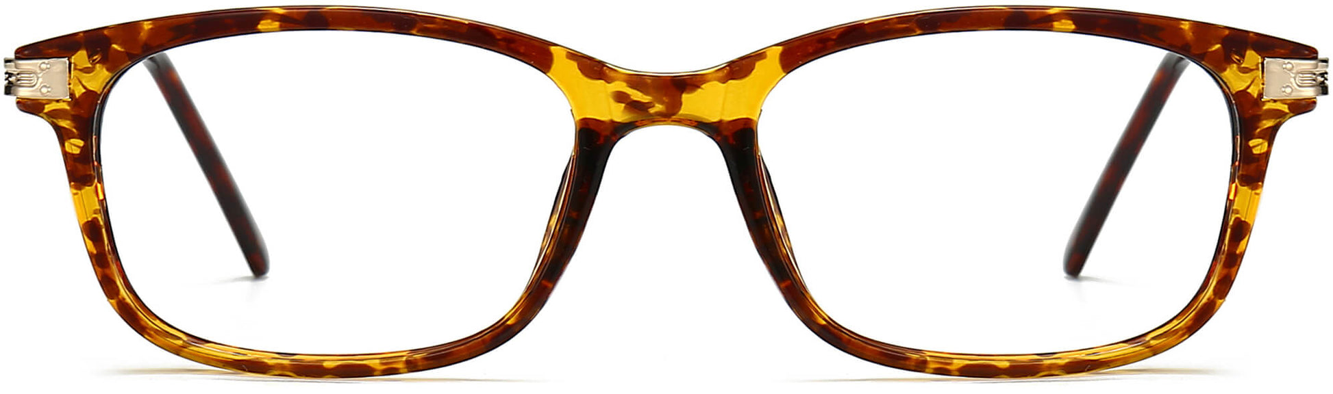 Remington Rectangle Tortoise Eyeglasses from ANRRI, front view