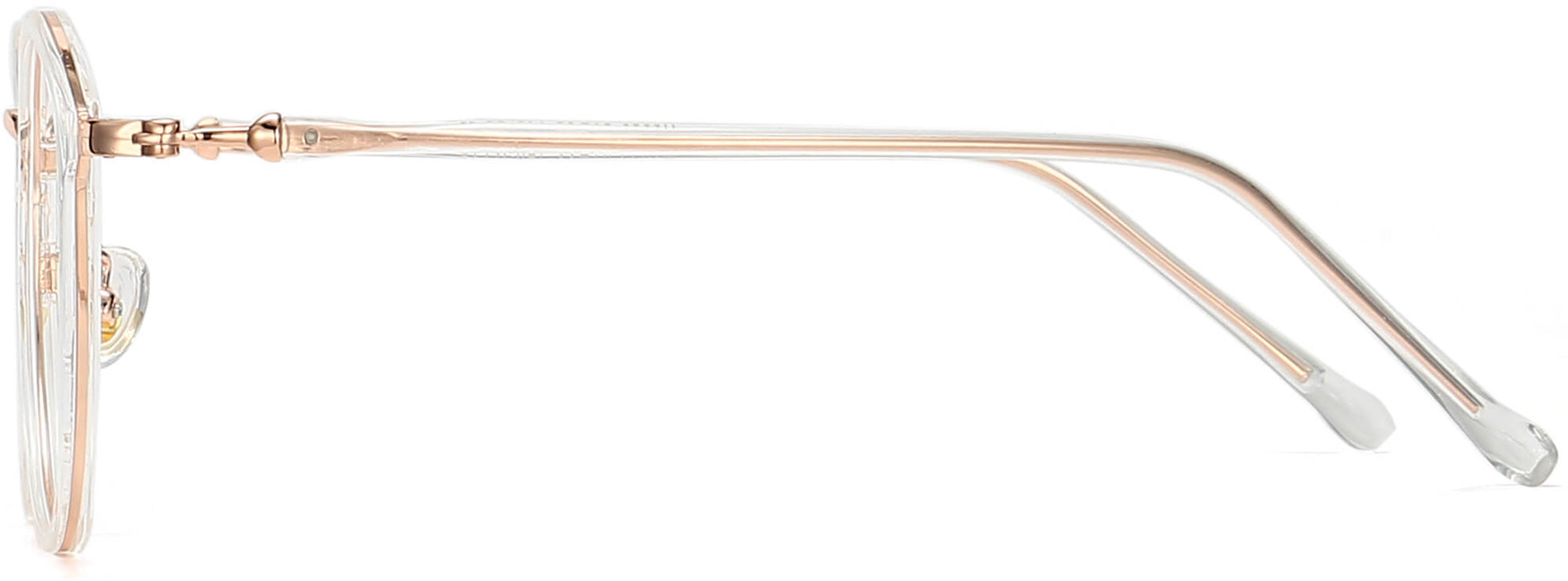 Rory Round Gold Eyeglasses from ANRRI, side view