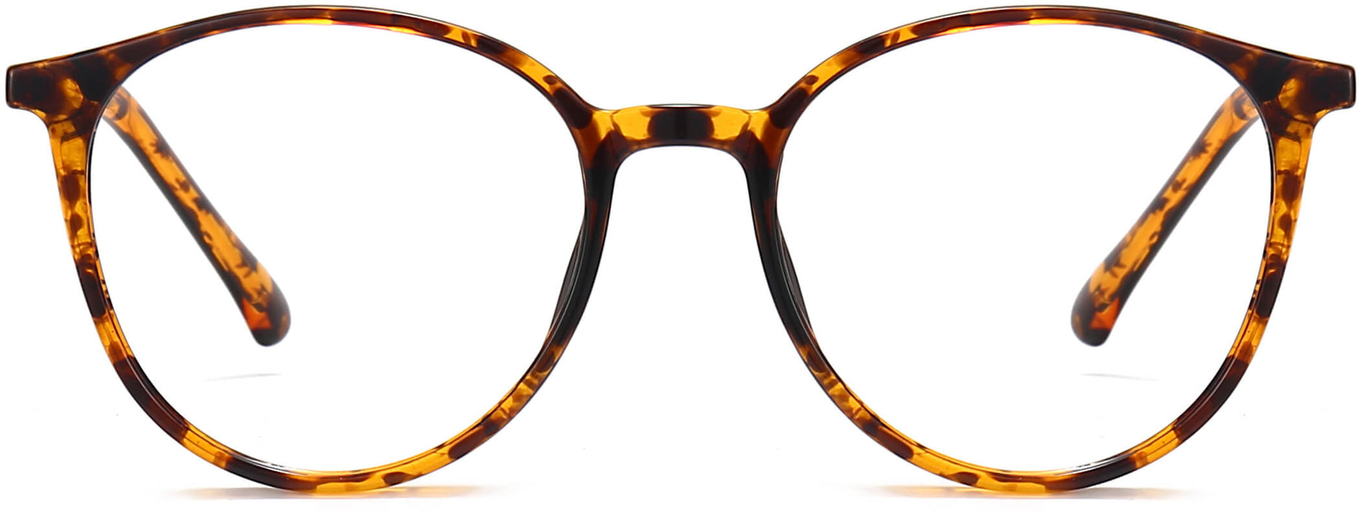 Roselyn Round Tortoise Eyeglasses from ANRRI, front view
