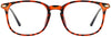 Rossa round tortoise Eyeglasses from ANRRI, front view
