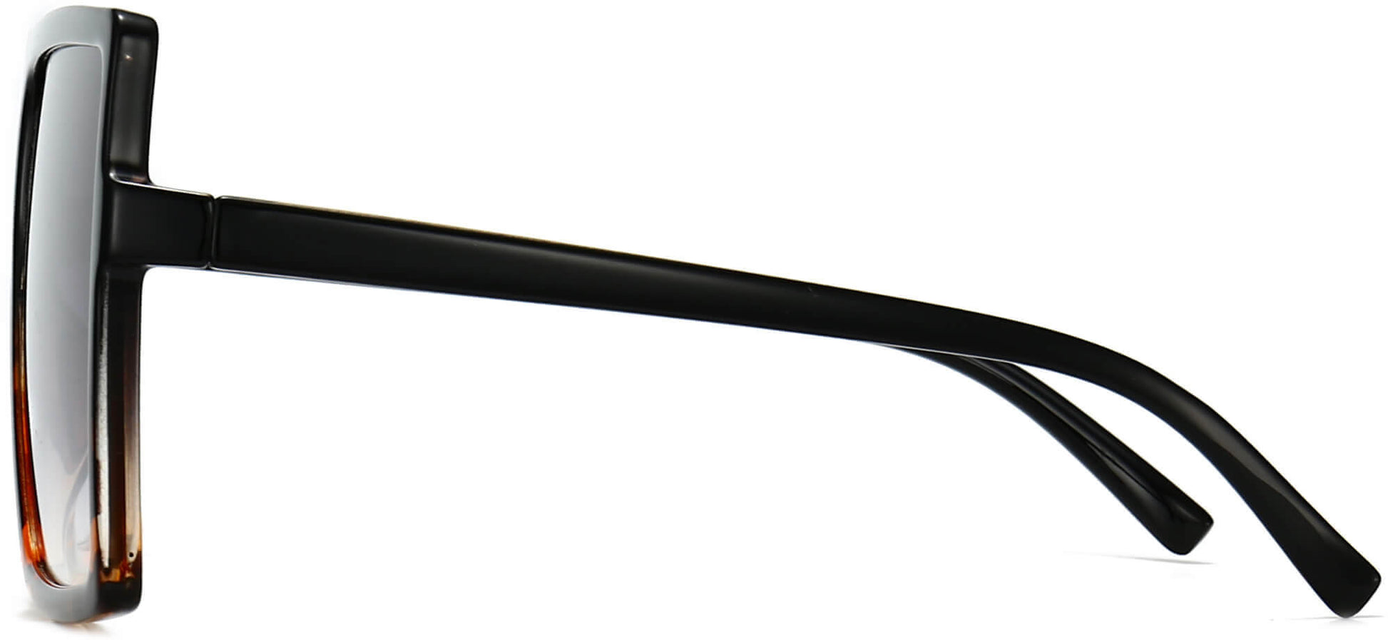 Rowan Black Plastic Sunglasses from ANRRI, side view
