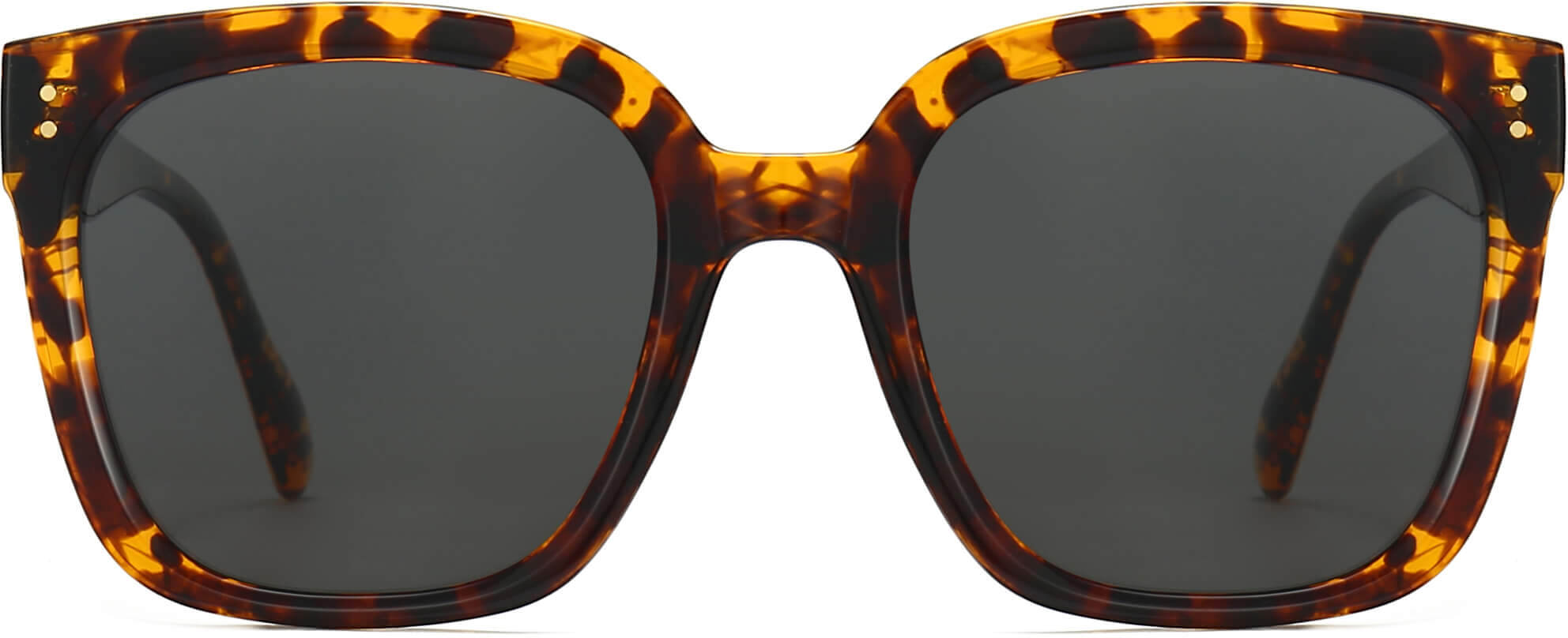 Sawyer Tortoise Plastic Sunglasses from ANRRI, front view