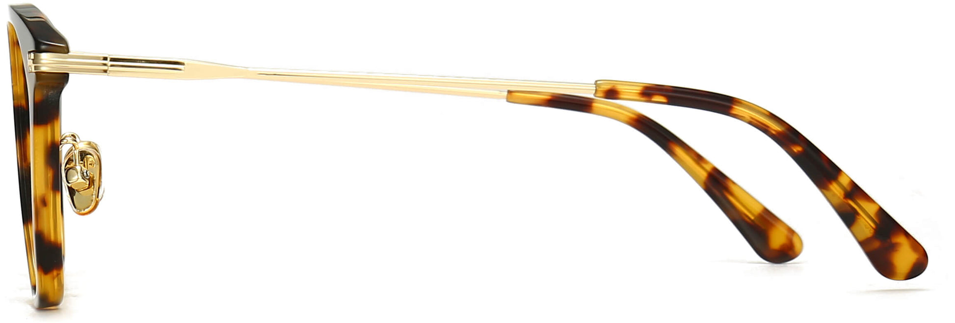 Scout Round Tortoise Eyeglasses from ANRRI, side view