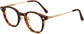 Skyler Round Tortoise Eyeglasses from ANRRI, angle view
