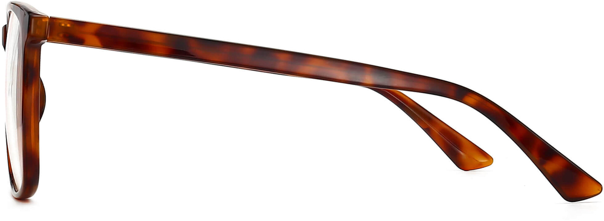 Tate Rectangle Tortoise Eyeglasses from ANRRI, side view