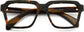 Theodore Square Tortoise Eyeglasses from ANRRI, closed view