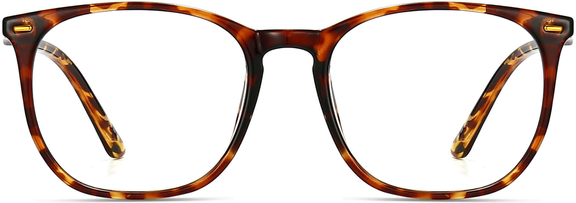Trinity Square Tortoise Eyeglasses from ANRRI, front view