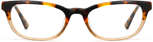 phoenix acetate tortoise Eyeglasses from ANRRI, front view
