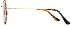 Tayte Tortoise Metal  Eyeglasses from ANRRI, Side View