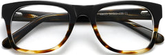lebelo black tortoise Eyeglasses from ANRRI, closed view