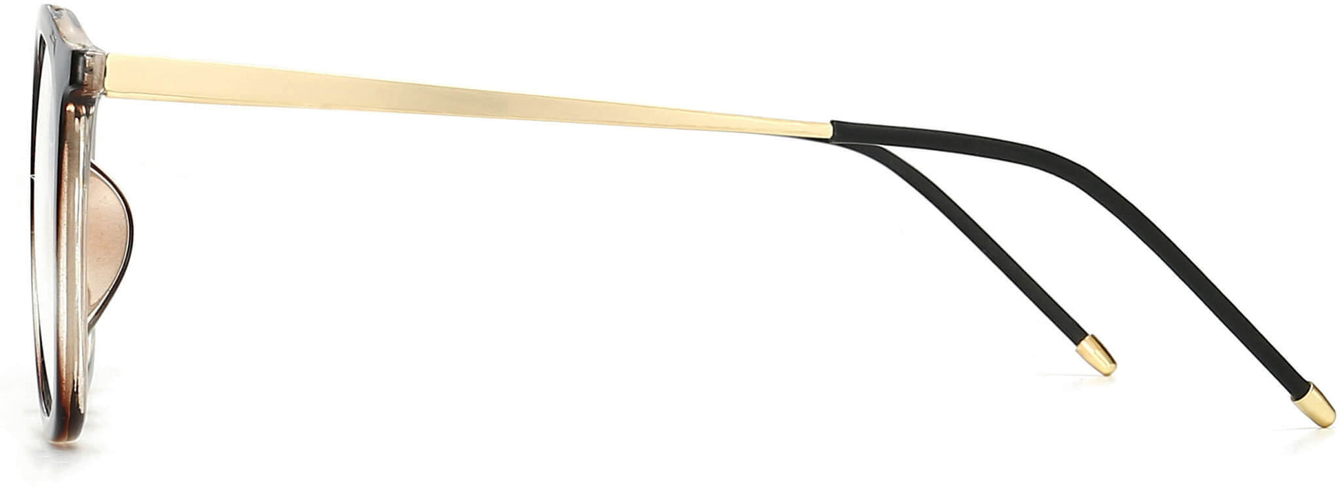 kelsey square leopard Eyeglasses from ANRRI, side view