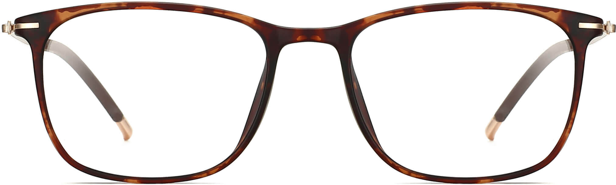 ventro metal tortoise Eyeglasses from ANRRI, front view