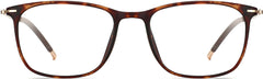 ventro metal tortoise Eyeglasses from ANRRI, front view