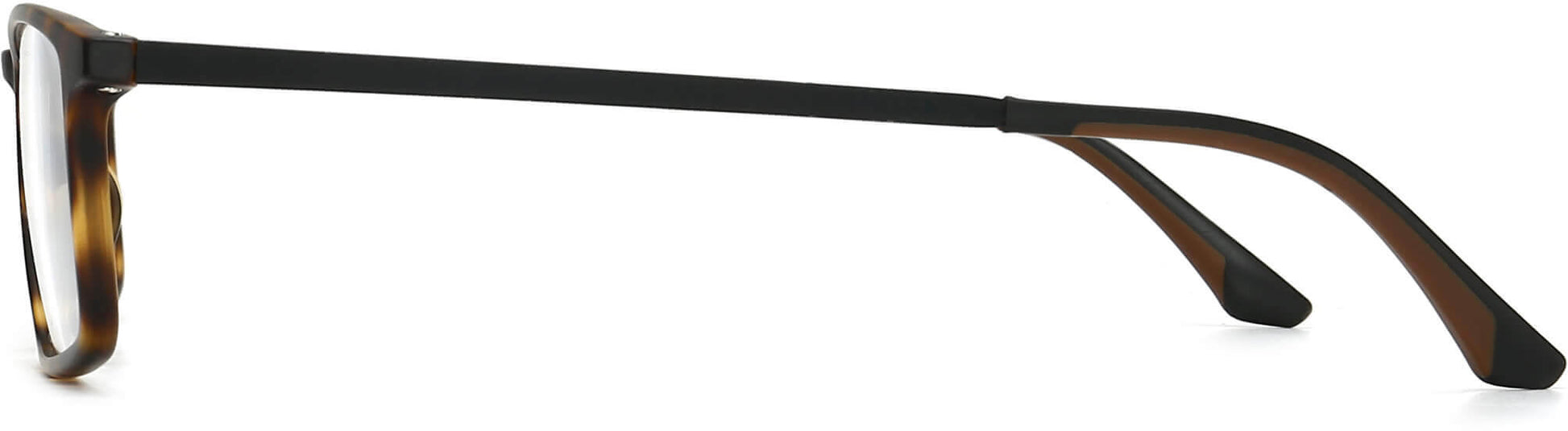 hago rectangle tortoise Eyeglasses from ANRRI, side view