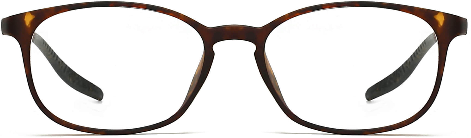 perrin-round-tortoise Eyeglasses from ANRRI, front view